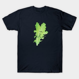 Lettuce pray T-Shirt